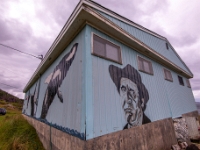 Cape Bonavista